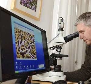 Naturheilpraxis Laucken Dunkelfeld-Mikroskopie