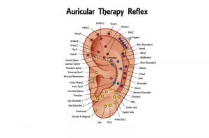 Naturheilpraxis Laucken Therapie Ohr Akupunktur